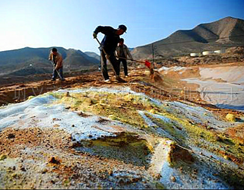 化工企業(yè)退出后，如何讓土壤“活”起來？